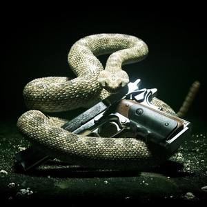 Meet your Posher, Fernando